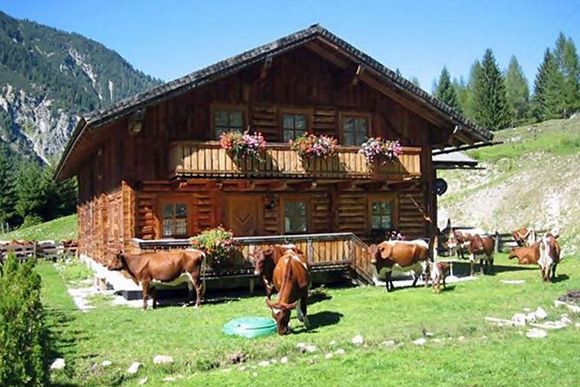 Thurnhofhütte - Flachau - Salzburger Sportwelt