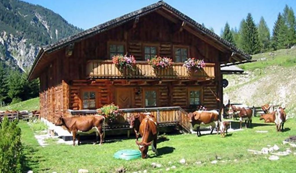Thurnhofhütte - Flachau - Salzburger Sportwelt