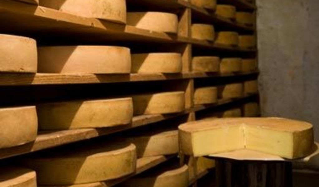 Biohütte Fontanella - Biohuus & Bioalphütte - Fontanella - Alpenregion Vorarlberg