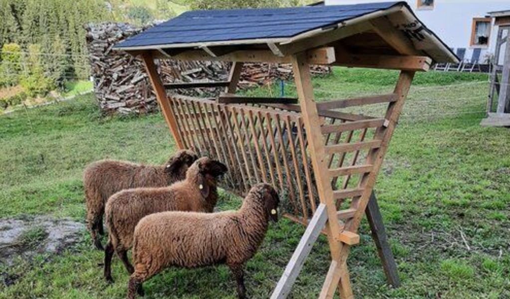 Bauernhof Edlinger vlg. Tscheppa - St. Georgen am Kreischberg - Urlaubsregion Murau-Murtal