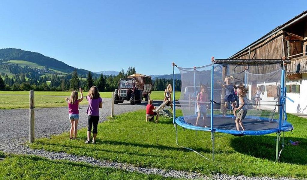 Ferienhaus Hinterebenhub - Hopfgarten - Brixental