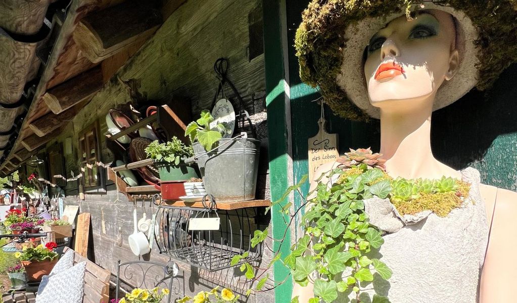 Lippenbauernhütte - Bad Ischl - Salzkammergut