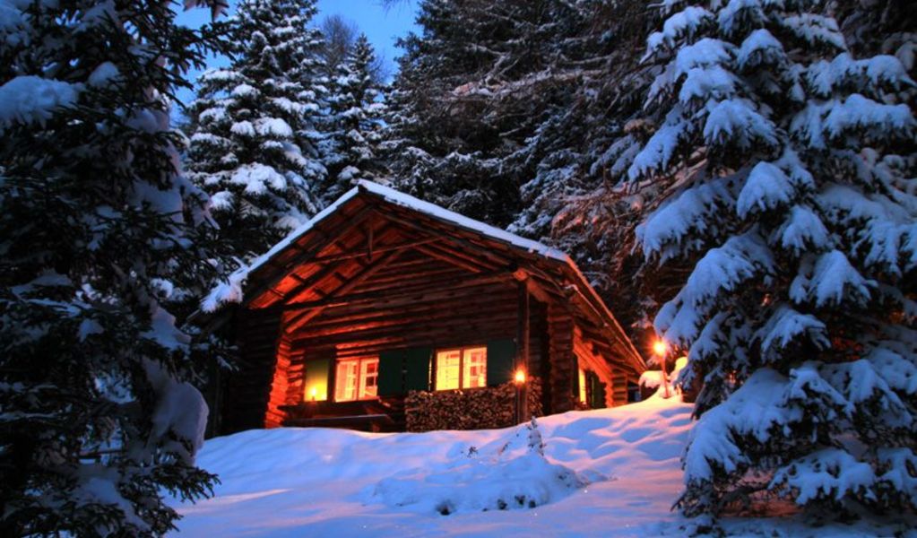 Waldhütte Seinerzeit - AlmDorf Tonnerhütte - Mühlen - Urlaubsregion Murau-Murtal