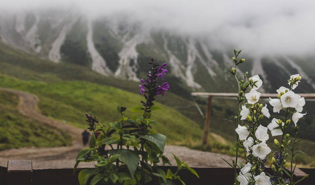 Breithornhütte - Sonntag-Stein - Alpenregion Vorarlberg