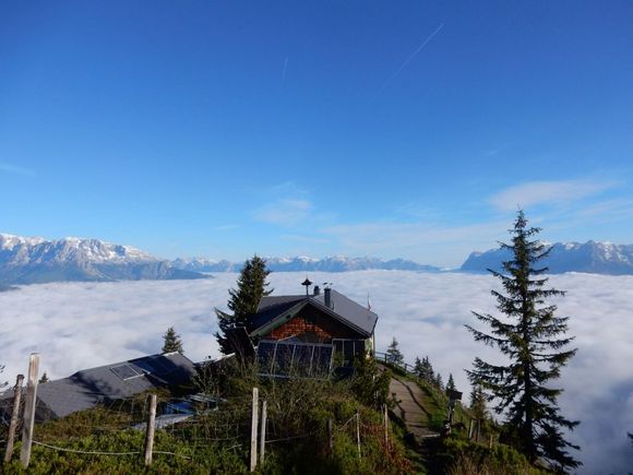 Heinrich Kienerhaus - St. Johann im Pongau - Salzburger Sportwelt