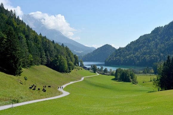 Jausenstation Maier - Pension Maier - Scheffau - Wilder Kaiser