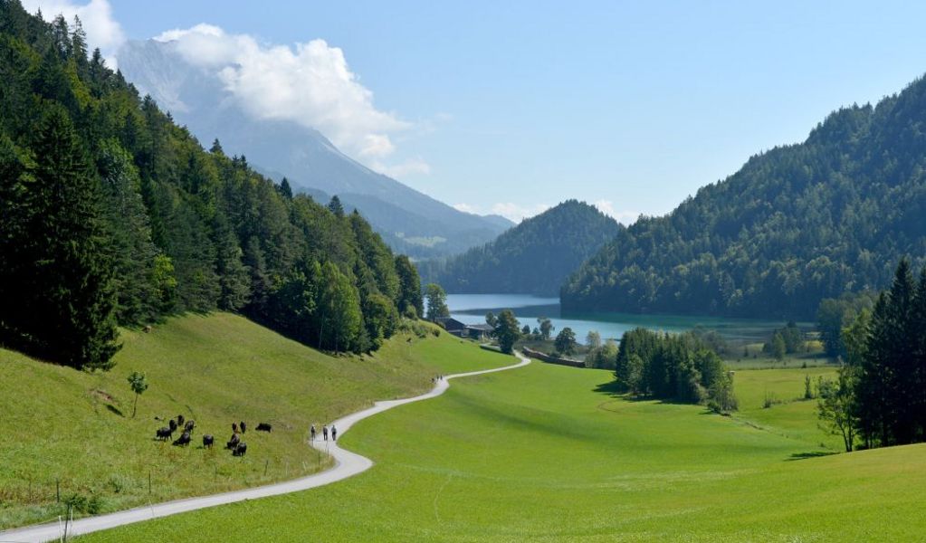 Jausenstation Maier - Pension Maier - Scheffau - Wilder Kaiser