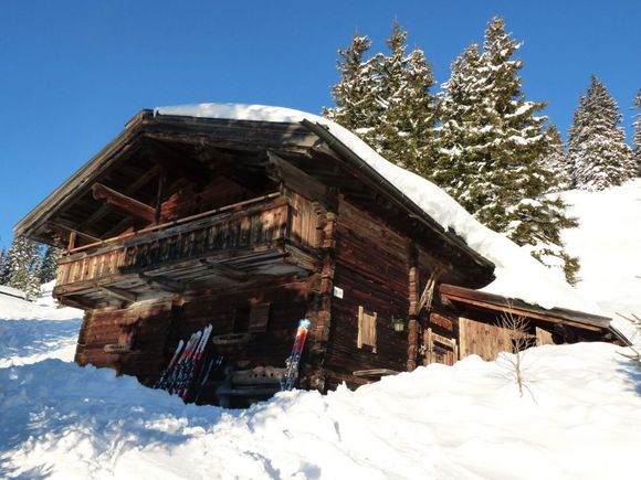 Poltenalm - Saalbach - Saalbach Hinterglemm