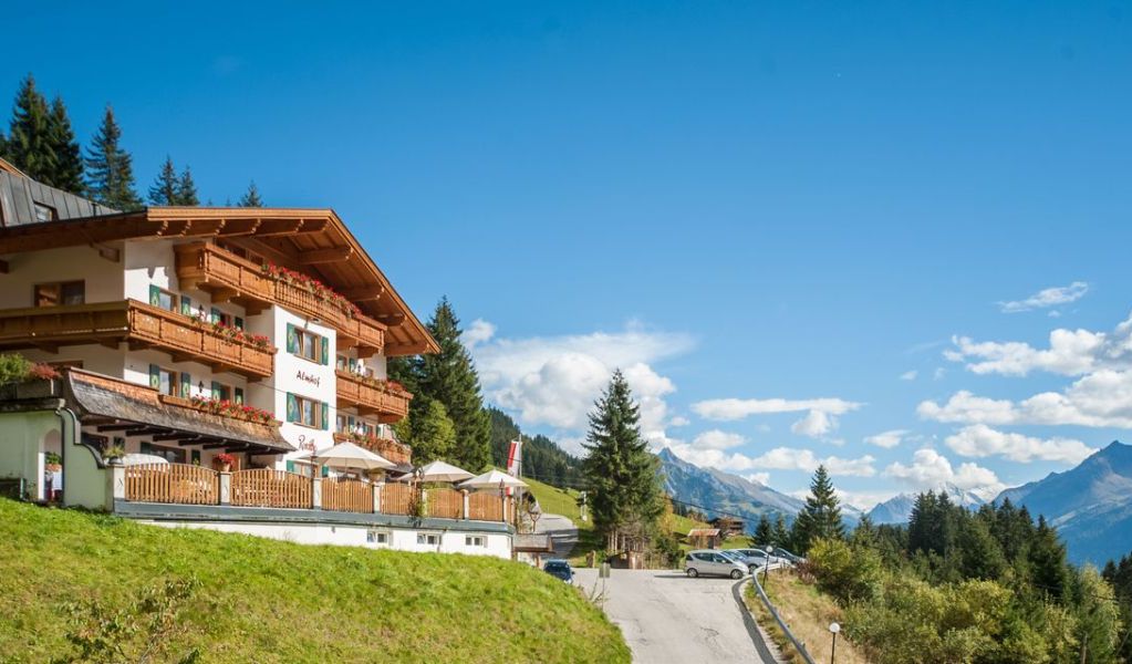 Hotel Almhof Roswitha - Hippach - Zillertal