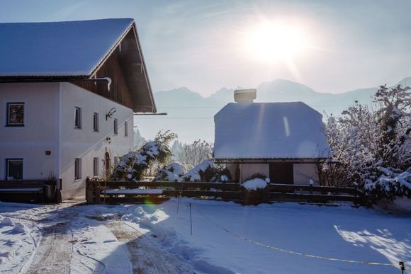 Chalet Wiesengut - Adnet - Salzburg und Umgebung