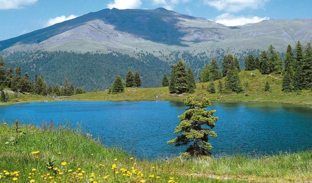 Zirbenhütte - Turracher Höhe - Nockberge