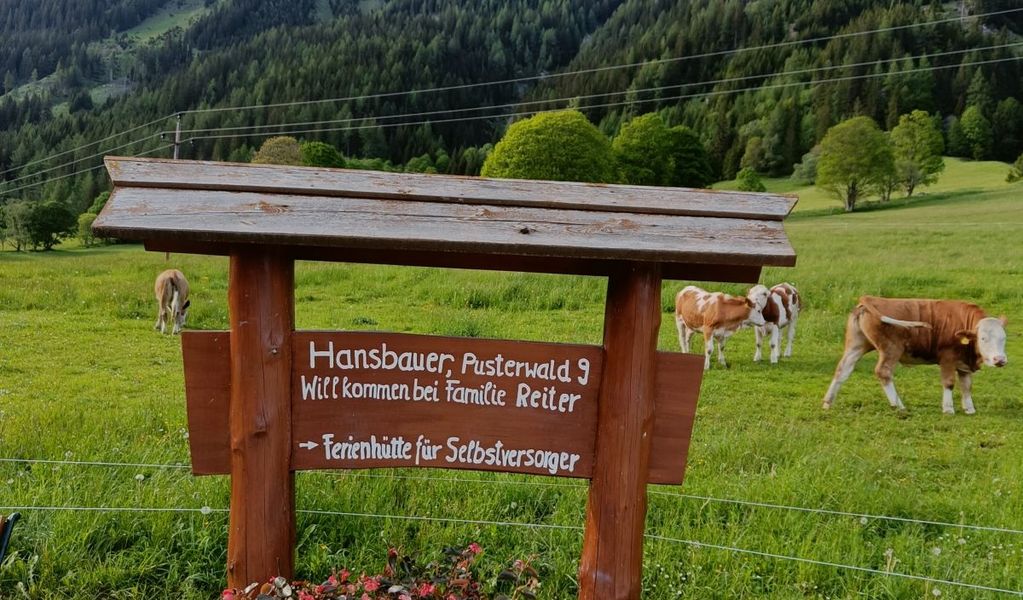 Ferienhütte Hansbauer - Pusterwald - Urlaubsregion Murau-Murtal