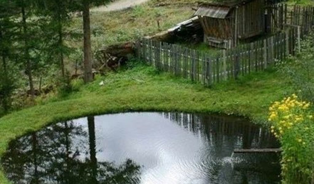 Willi´s Almhütte - Predlitz - Urlaubsregion Murau-Murtal