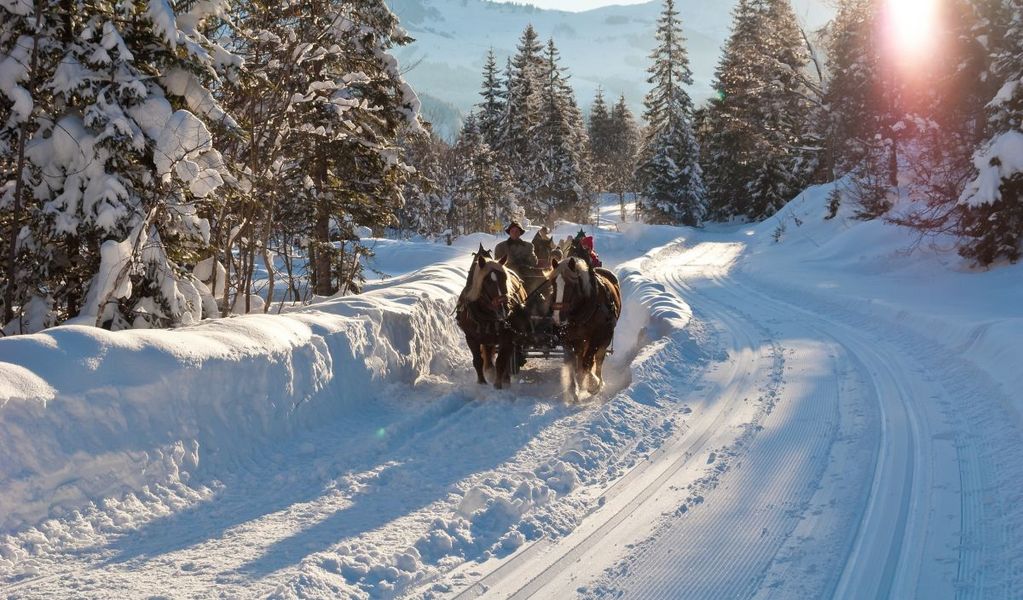 Proneben Gut - Kuschelhütten - 5505 Mühlbach/Hkg. - Hochkönig