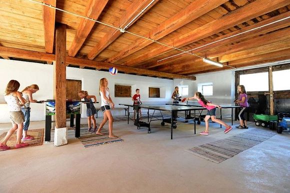 Ferienhaus Hinterebenhub - Hopfgarten - Brixental