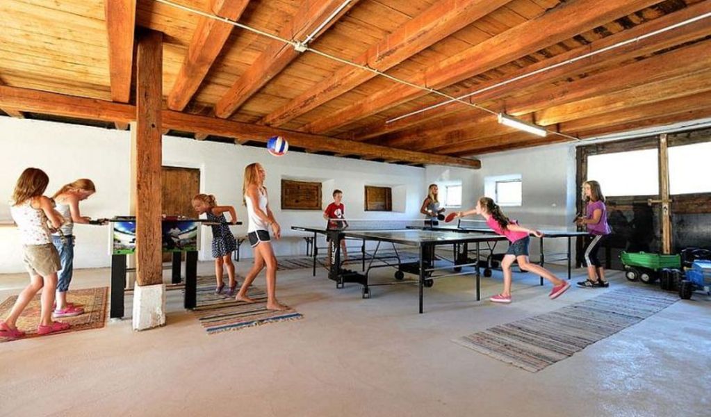 Ferienhaus Hinterebenhub - Hopfgarten - Brixental