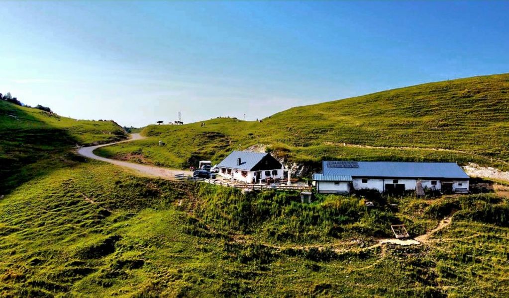 Gräner Ödenalpe - Nesselwängle - Tannheimer Tal