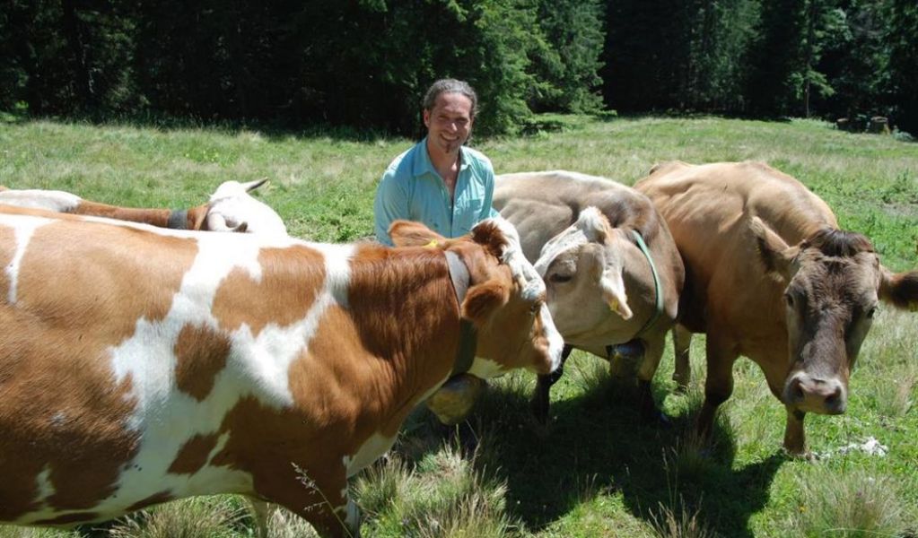 Moaralm - Ardning - Gesäuse