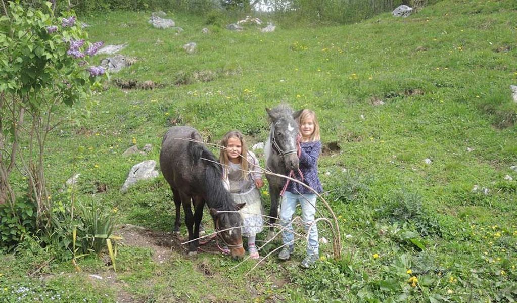 Bairauhof - Lofer - Saalachtal