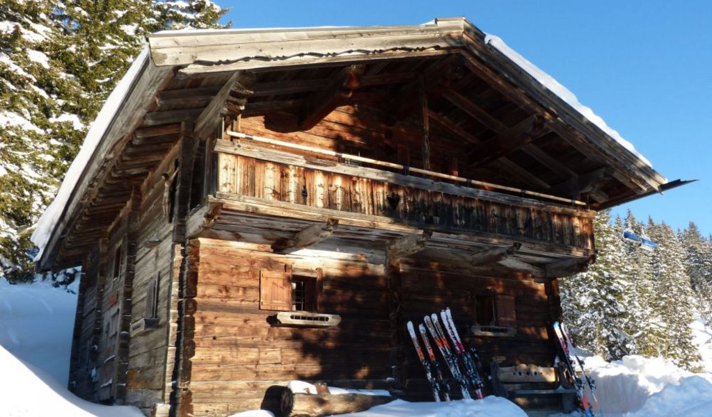 Poltenalm - Saalbach - Saalbach Hinterglemm