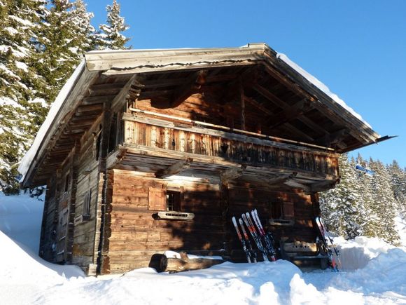 Poltenalm - Saalbach - Saalbach Hinterglemm