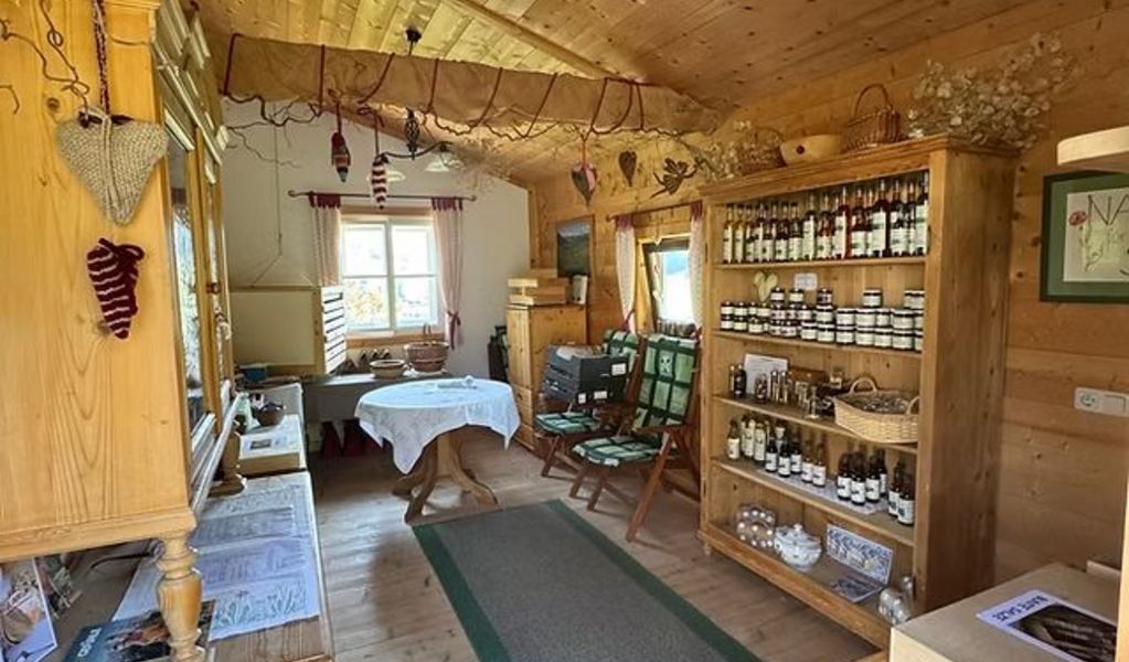 Almhütte - Oberstegalm - Maria Alm - Hochkönig