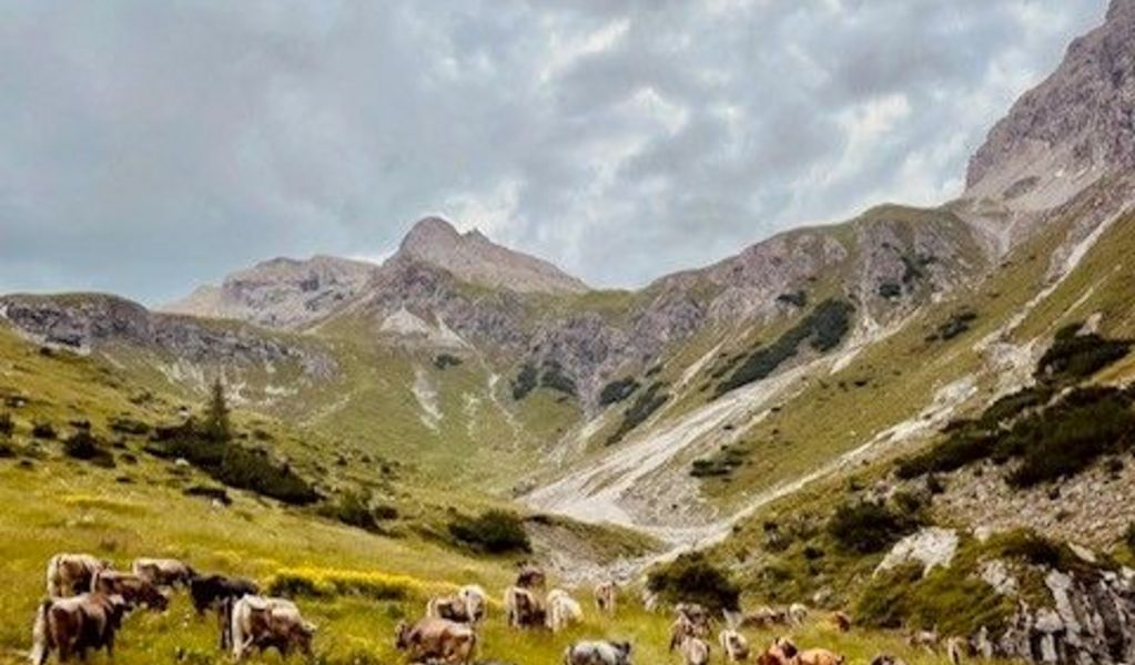 Alpe Kaisers - Kaisers - Lechtal