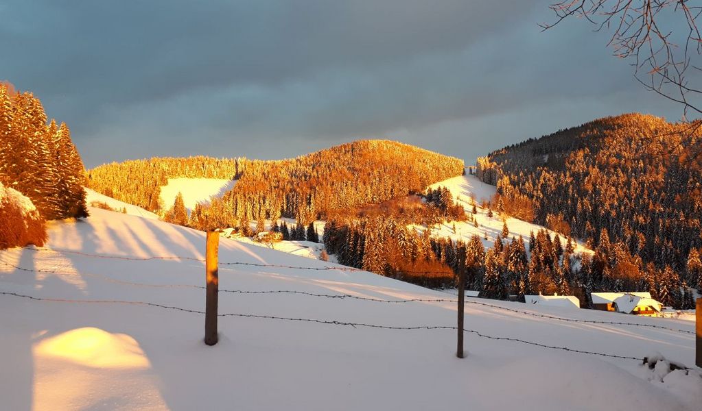 Ferienhaus Brenner - St. Kathrein am Offenegg - Oststeiermark