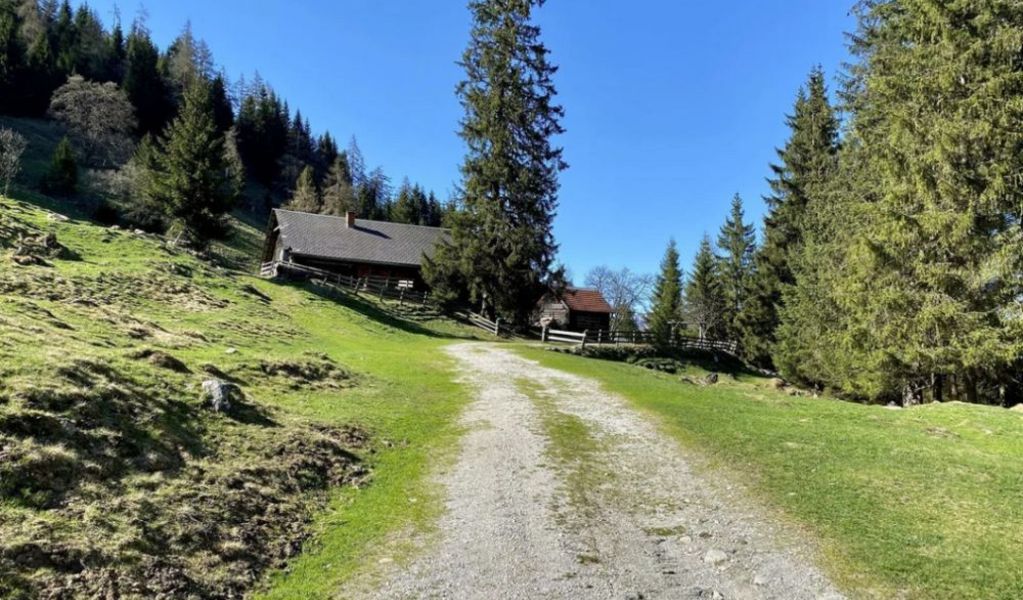 Maierlalm - Haus im Ennstal - Schladming-Dachstein