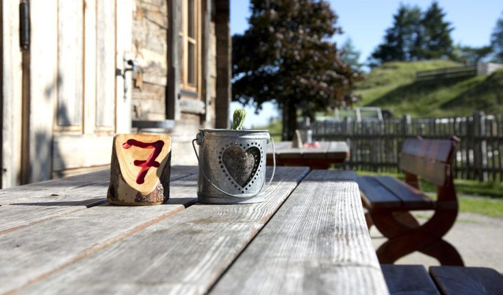 Schutzhütte Kranzhorn Alm - Erl - Kufsteinerland