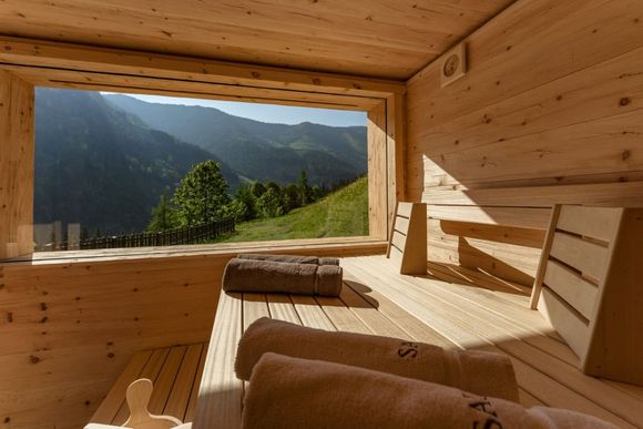 Ferienhaus Druckfeichterhof - Pruggern - Schladming-Dachstein