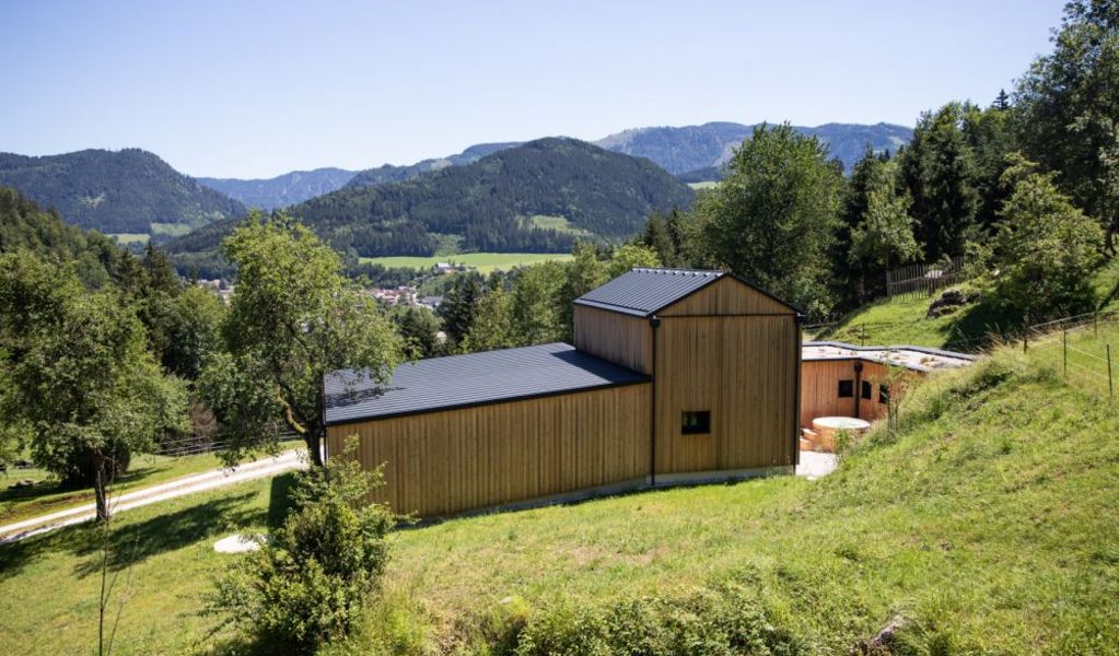 Chalet Alte Schmiede - Göstling an der Ybbs - Mostviertel