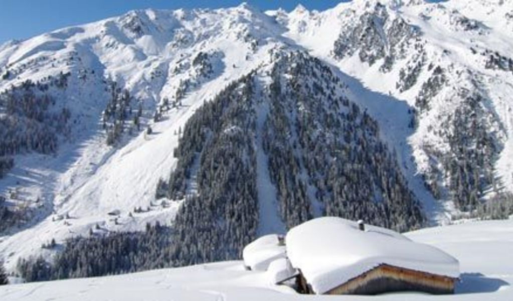 Lenzelerhof - Hippach - Zillertal