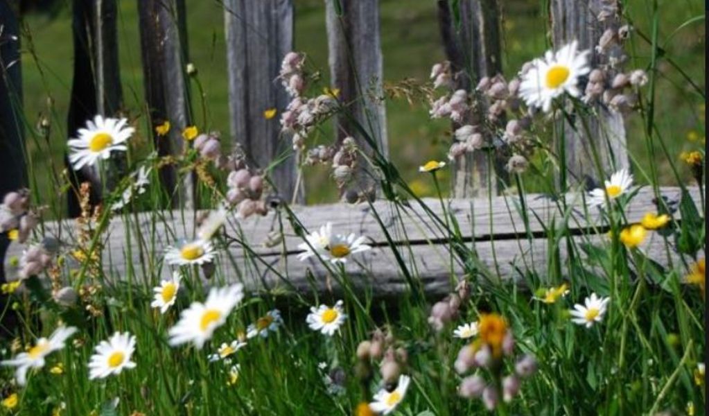 Ober Malig Kasa - Heiligenblut - Hohe Tauern - Die Nationalpark-Region