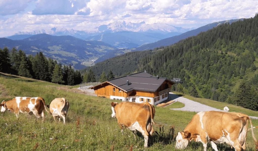 Haibenalm - St. Johann im Pongau - Salzburger Sportwelt