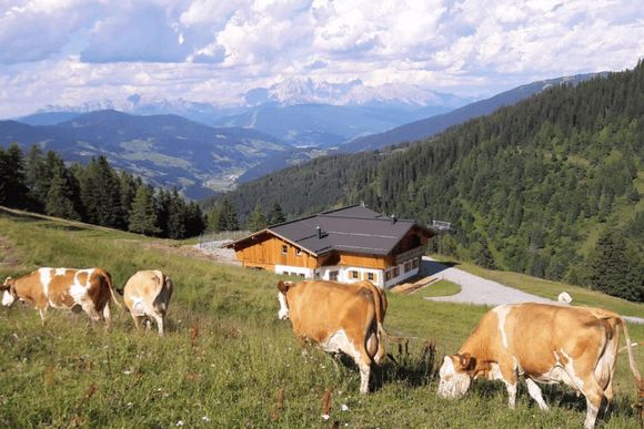 Haibenalm - St. Johann im Pongau - Salzburger Sportwelt