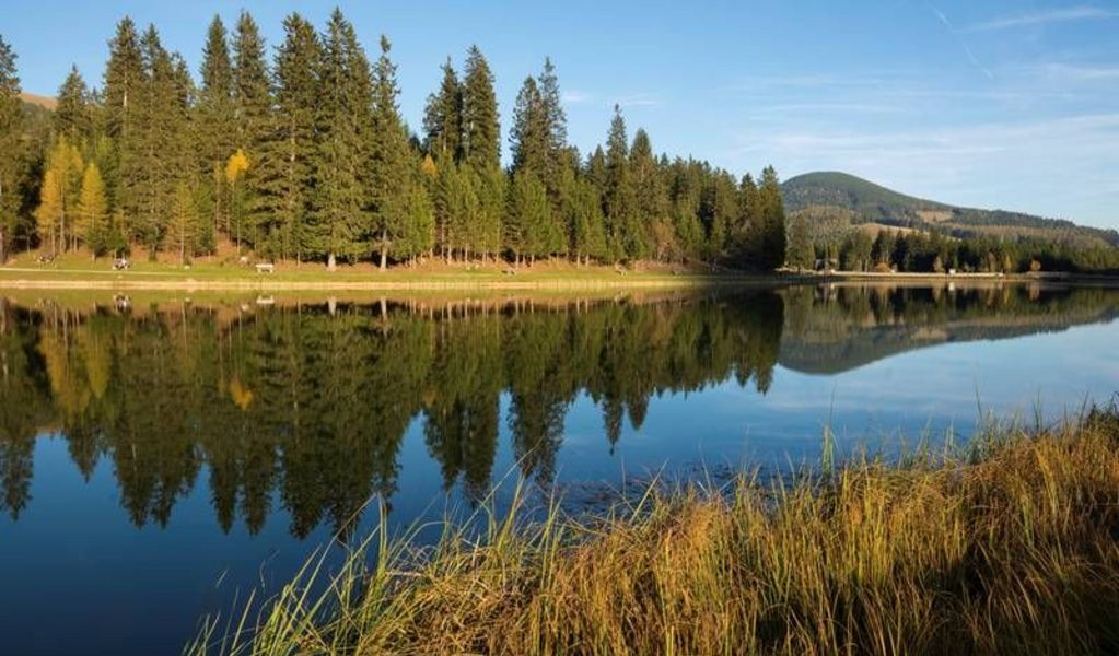 Ostermannhütte - Teichalm - Oststeiermark