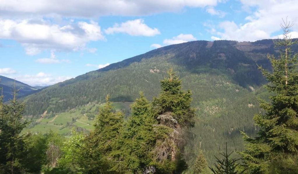 Gerald´s Jagahütt´n - Stadl-Predlitz - Urlaubsregion Murau-Murtal