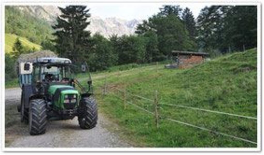 Alpe Mitterhaus - Vorderhindelang - Allgäu