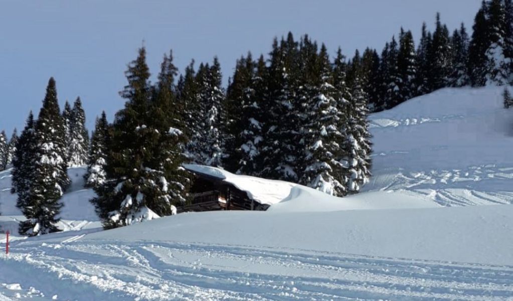 Poltenalm - Saalbach - Saalbach Hinterglemm
