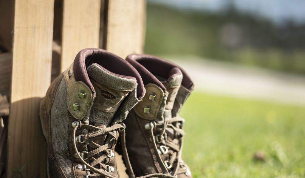 Buchacker Alm | Black Angus Alm - Angerberg - Hohe Salve