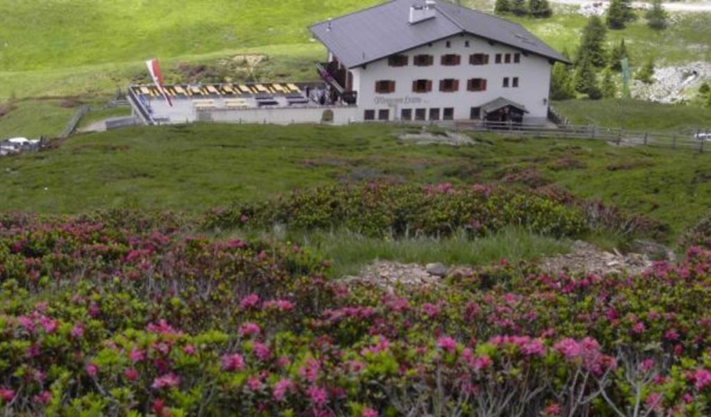 Meraner Hütte - Hafling - Meran und Umgebung