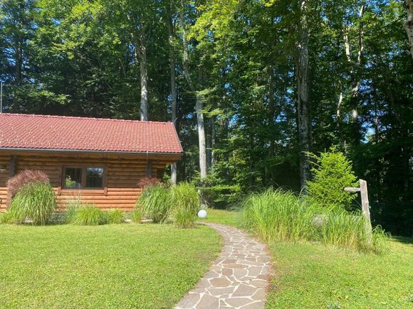 Hütte am Wald - Hof bei Salzburg - Salzburg und Umgebung