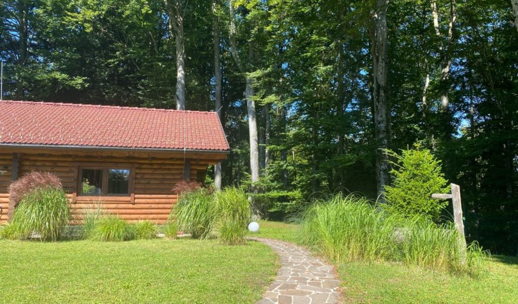 Hütte am Wald - Hof bei Salzburg - Salzburg und Umgebung