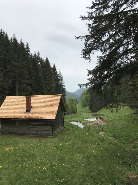 Bärnthaler Fischerhütte - Mühlen - Urlaubsregion Murau-Murtal