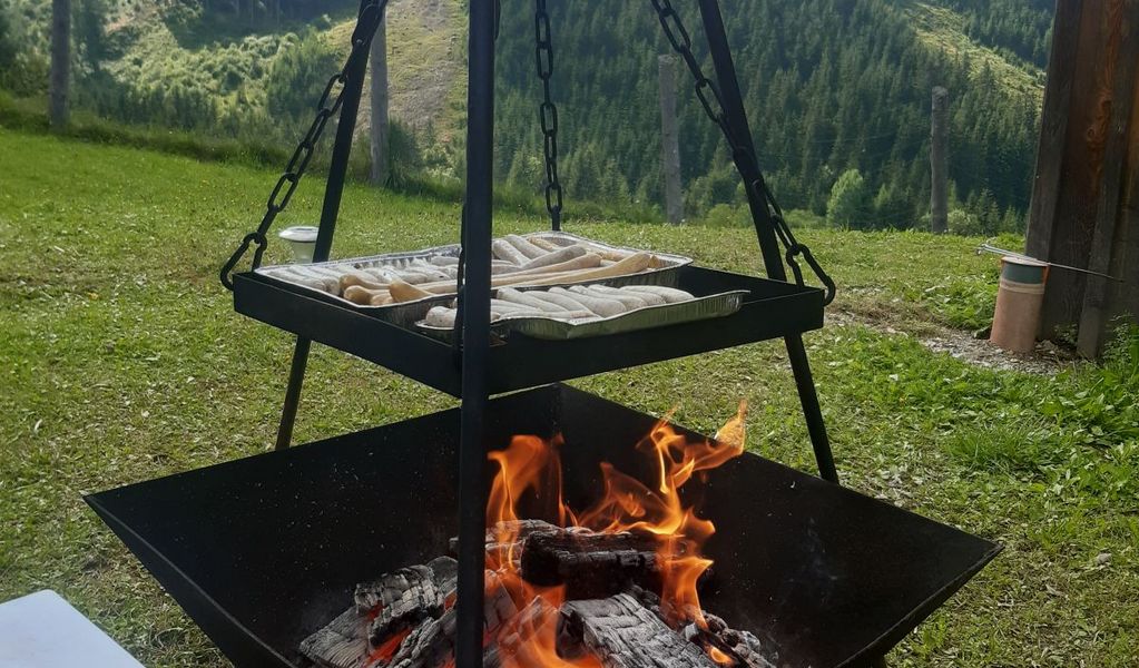 Gscheidegger Hütte - Admont - Gesäuse