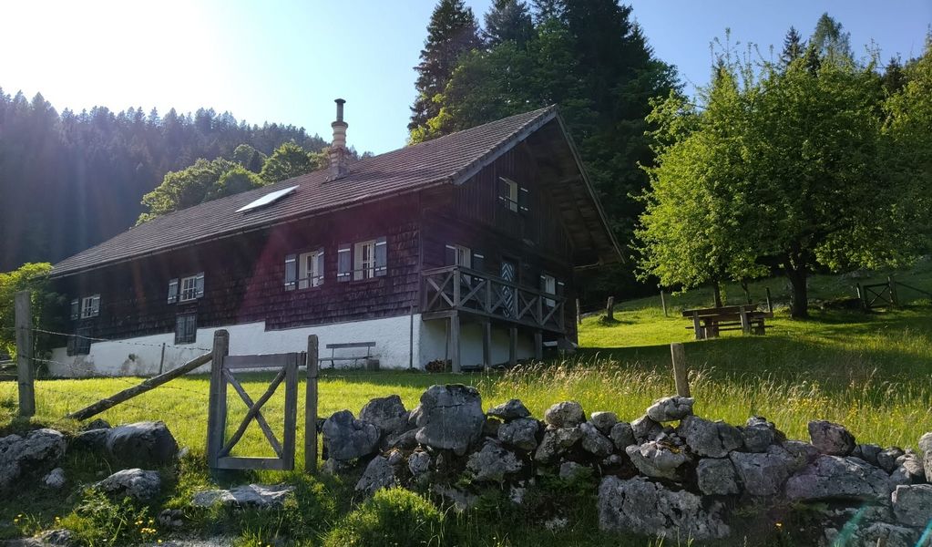 Lippenbauernalm - St. Wolfgang - Salzkammergut