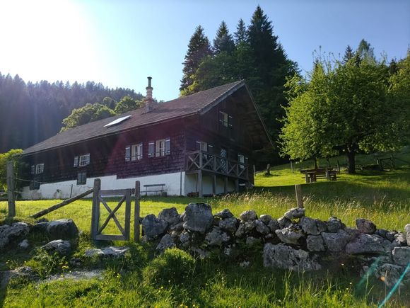 Lippenbauernalm - St. Wolfgang - Salzkammergut