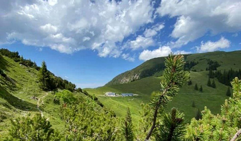Gräner Ödenalpe - Nesselwängle - Tannheimer Tal