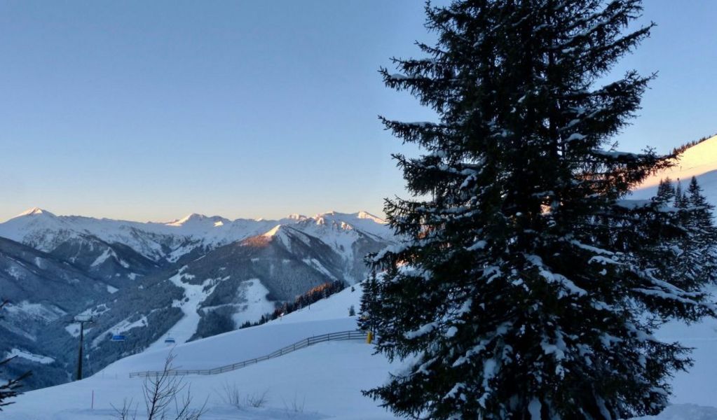 Poltenalm - Saalbach - Saalbach Hinterglemm